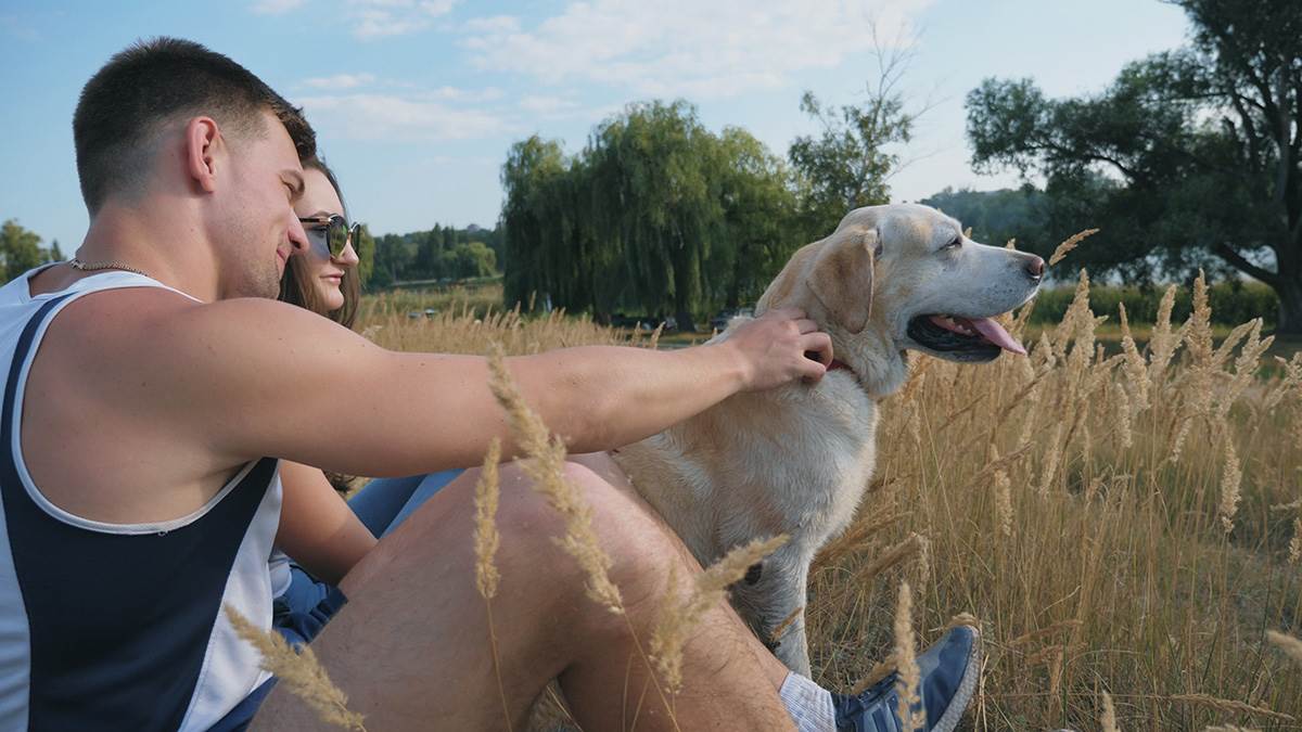  Zašto pas sjedi okrenut leđima 
