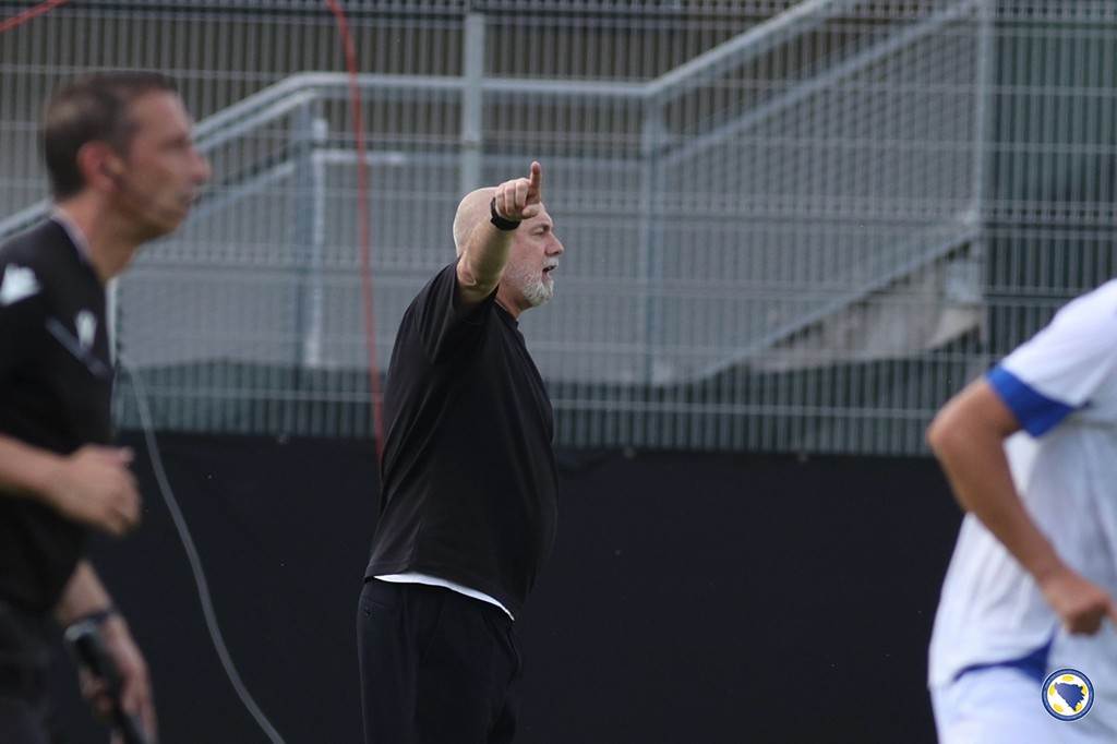  Slovenija BiH izjava Sergej Barbarez 