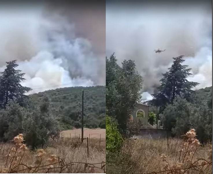 Šumski požar kod Atine Šumski požar kod Atine