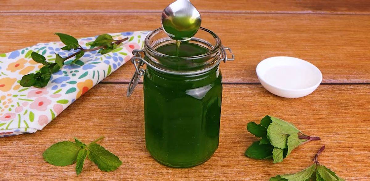 Recept za sirup od nane Recept za sirup od nane