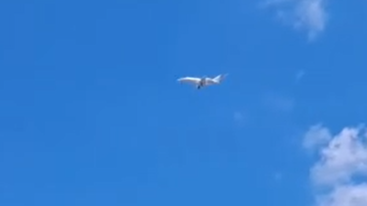Avion u Nišu kružio iznad aerodroma, pa sletio Avion u Nišu kružio iznad aerodroma, pa sletio