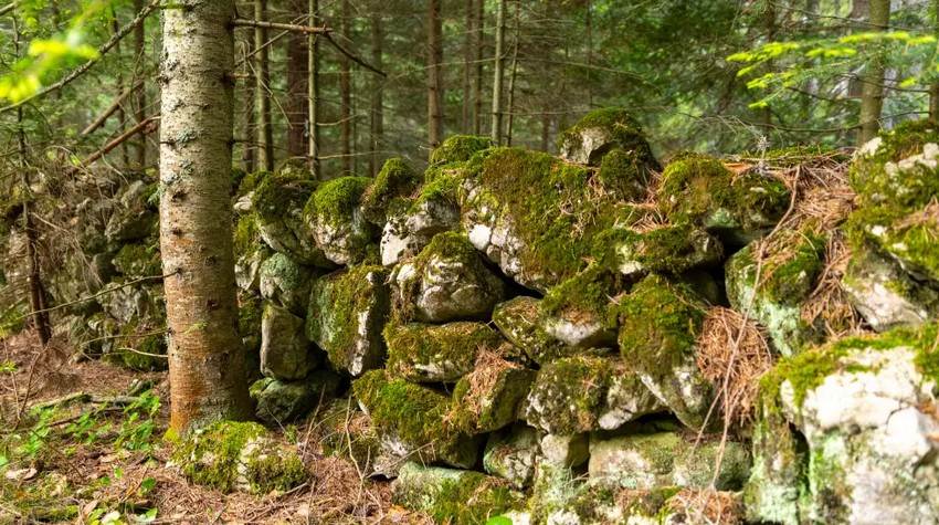  Utvrđenje Gradić na Romaniji  