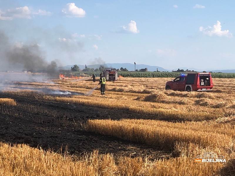  Deset vatrogasaca gasi požar na njivi kod Bijeljine 