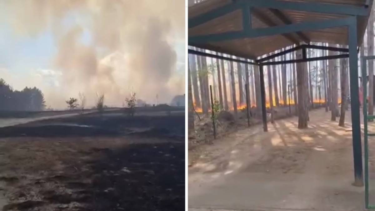  Veliki požar kod Golupca, gori šuma, evakuiše se stanovništvo 