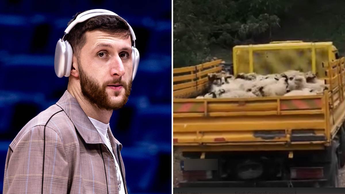  jusuf nurkic kupio stado ovaca porodici u bih 