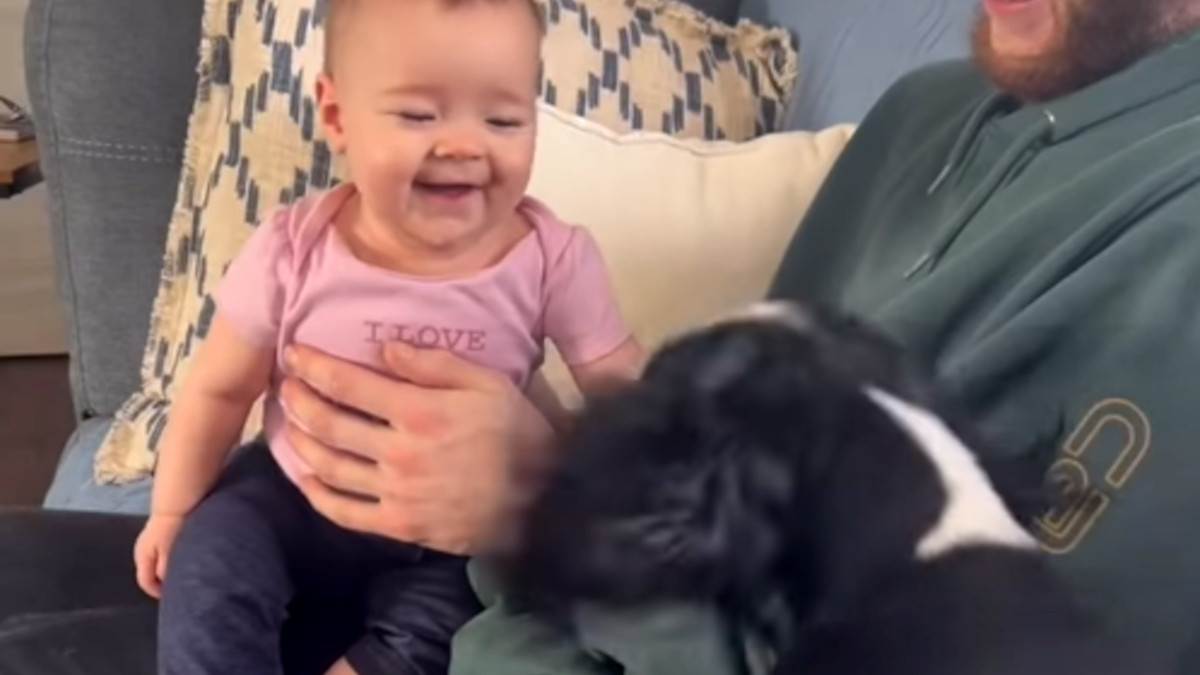 Beba se smije psećem lavežu Beba se smije psećem lavežu
