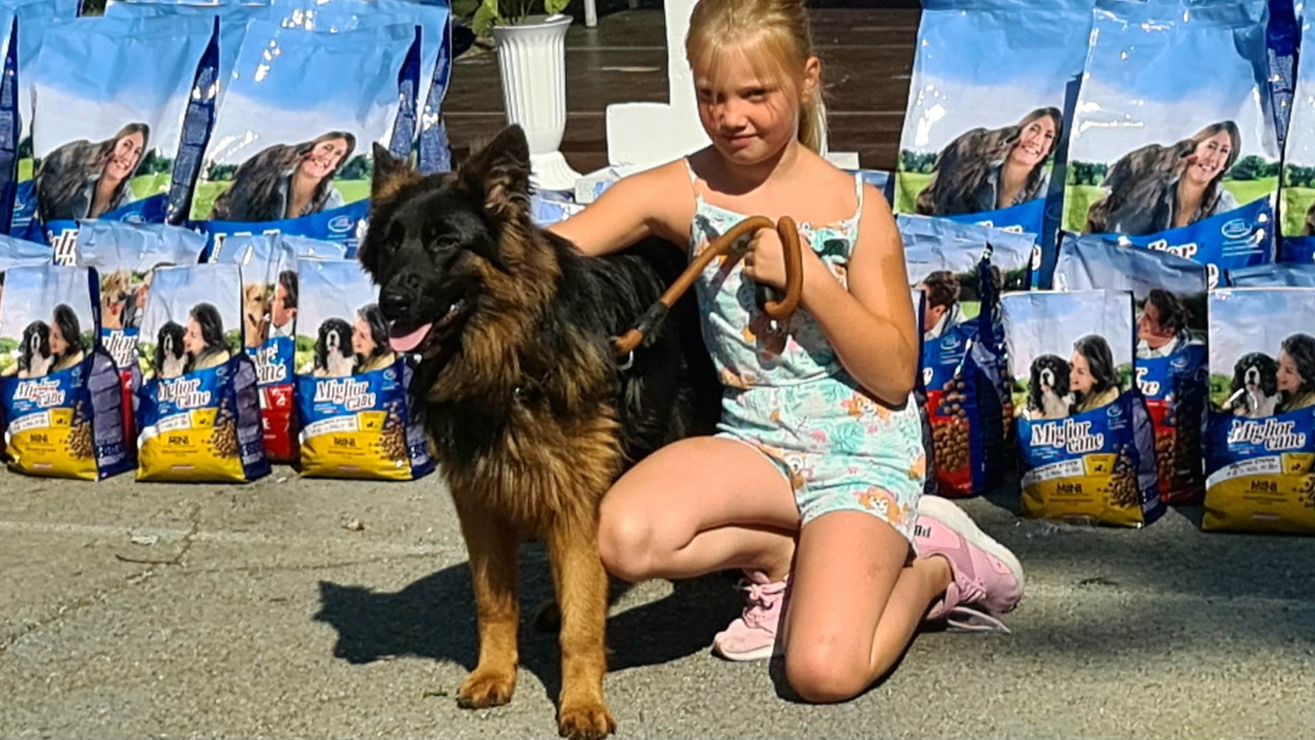 Izložba pasa pas šou u doboju Izložba pasa pas šou u doboju