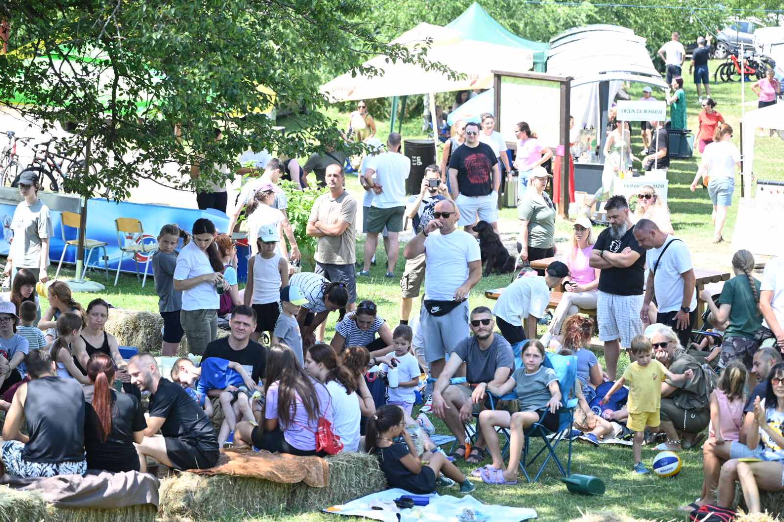 Počeo Pecka festival Počeo Pecka festival