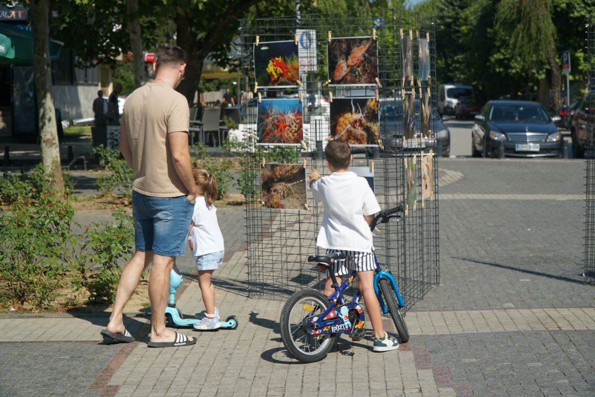 Prijedor: Otvorena izložba fotografija "Krk" Prijedor: Otvorena izložba fotografija "Krk"