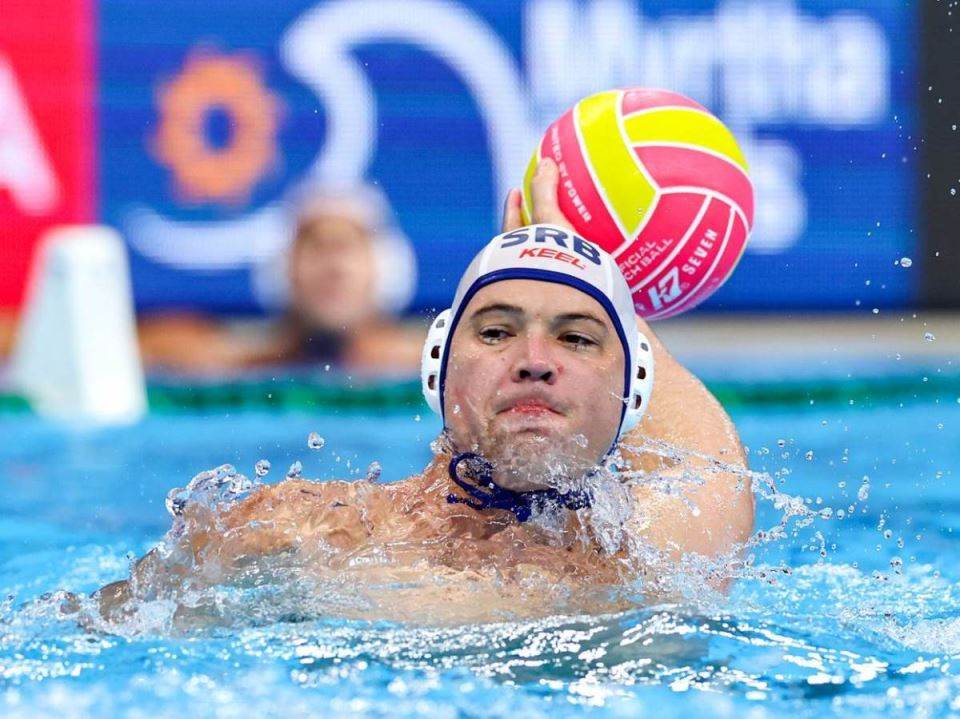  dusana mandica rastuzila knjiga u srednjoj skoli 