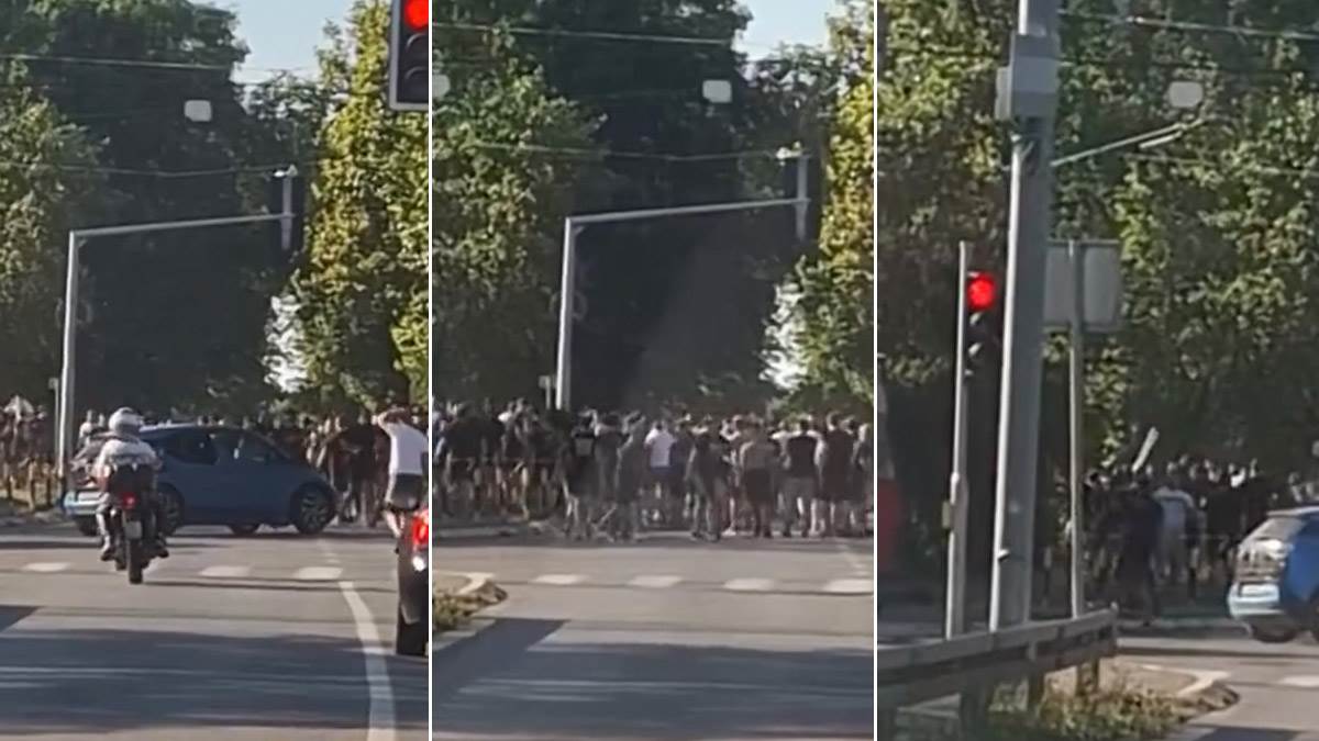  Delije Grobari tuča  