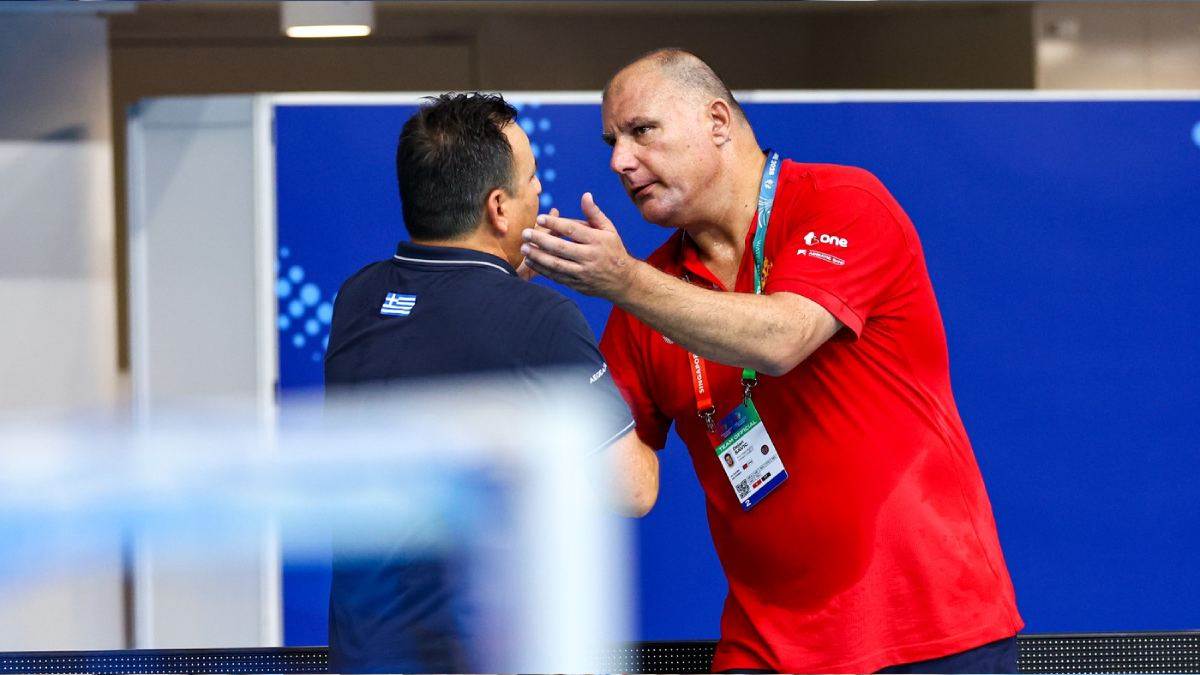  Dejan Savić nakon poraza od Španije 