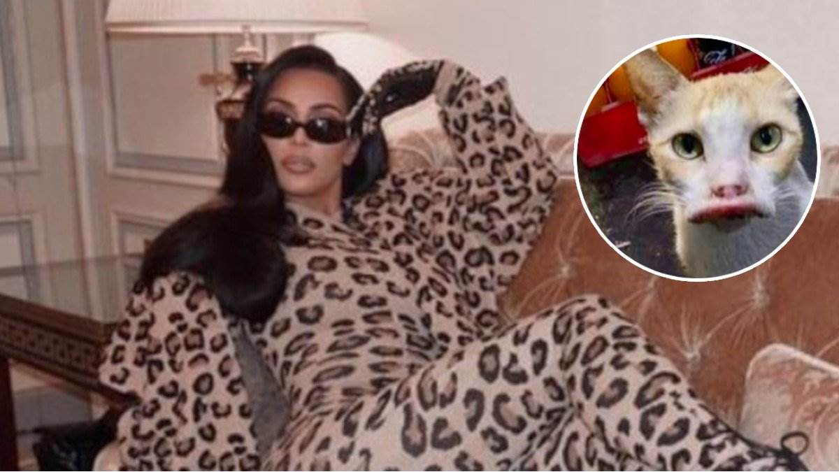  Mački otekle usne nakon uboda pčele 