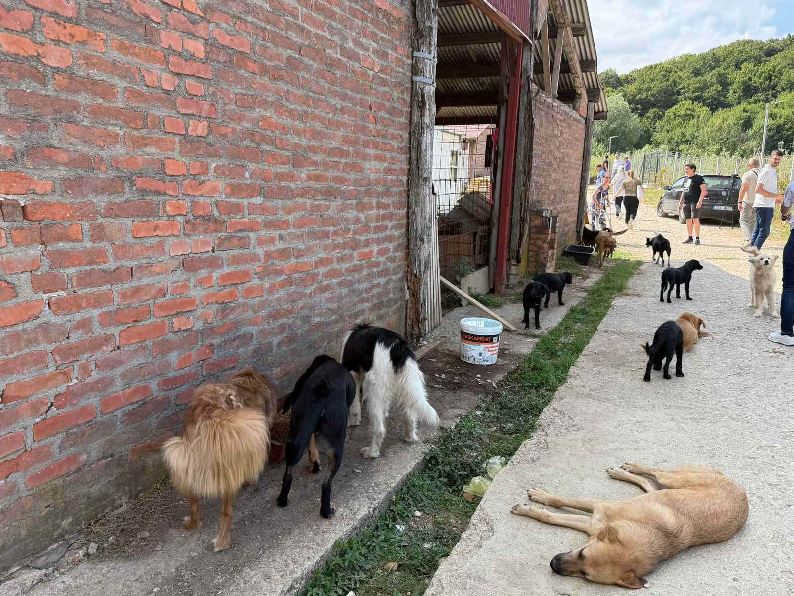  Volonteri najavili izgradnju dva nova objekta u azilu na Manjači 