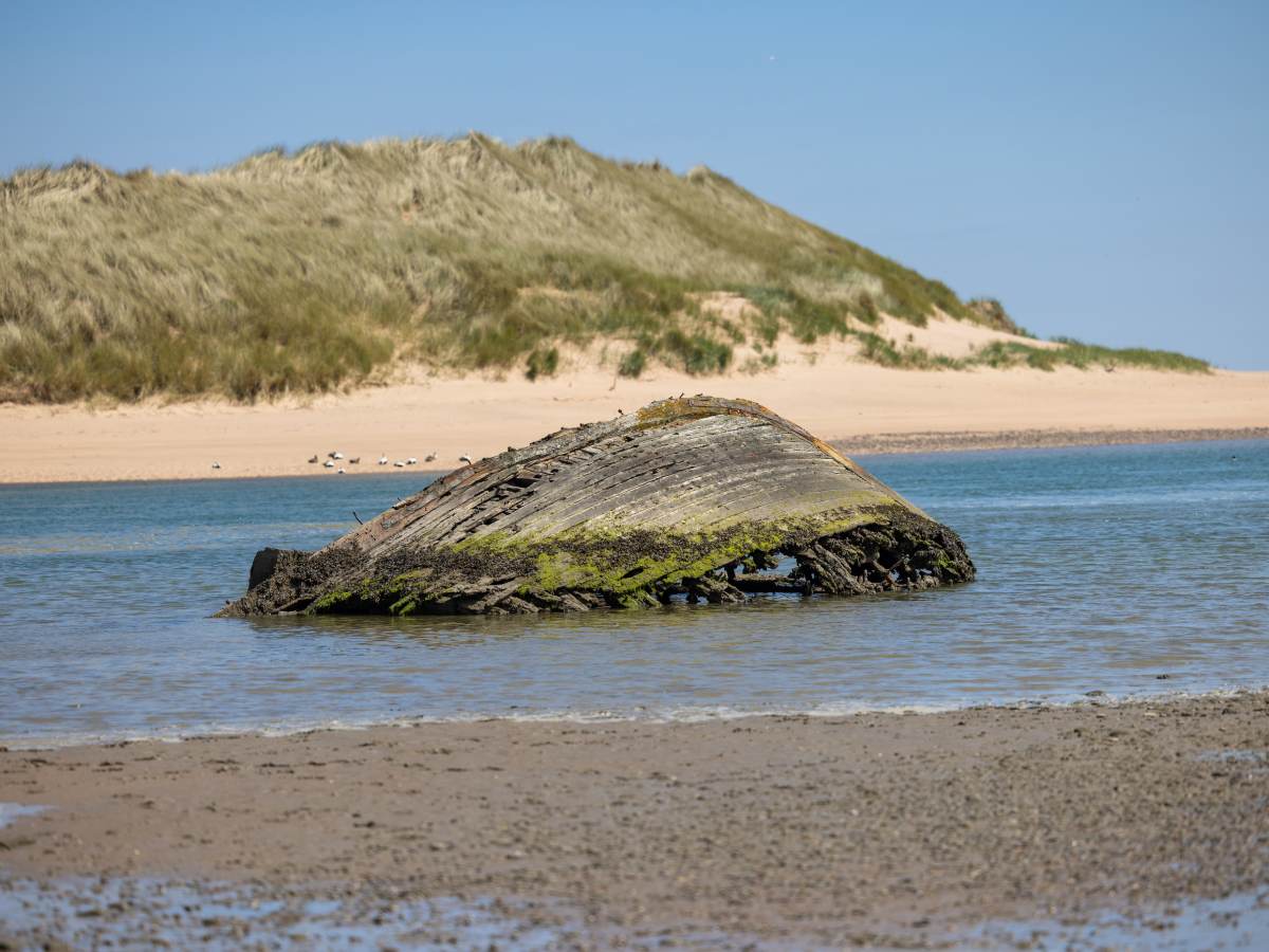  Otkrivena misterija na ostrvu Sandej 