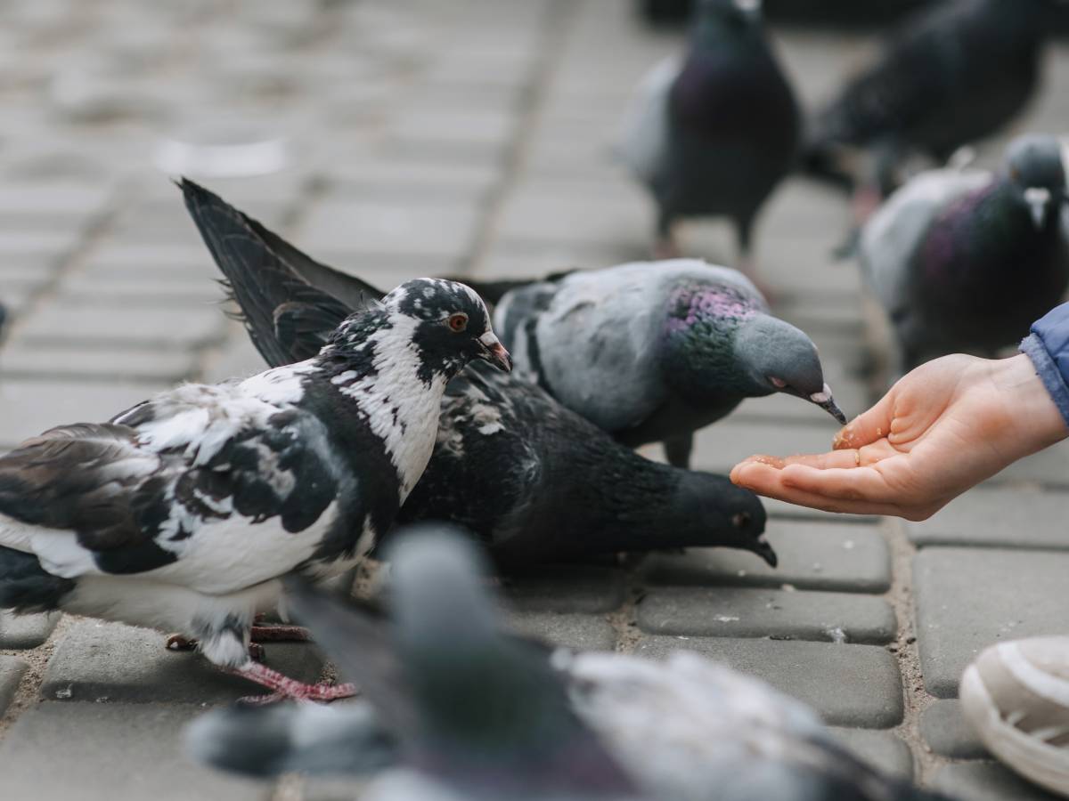  Najčudnije kazne u državama 