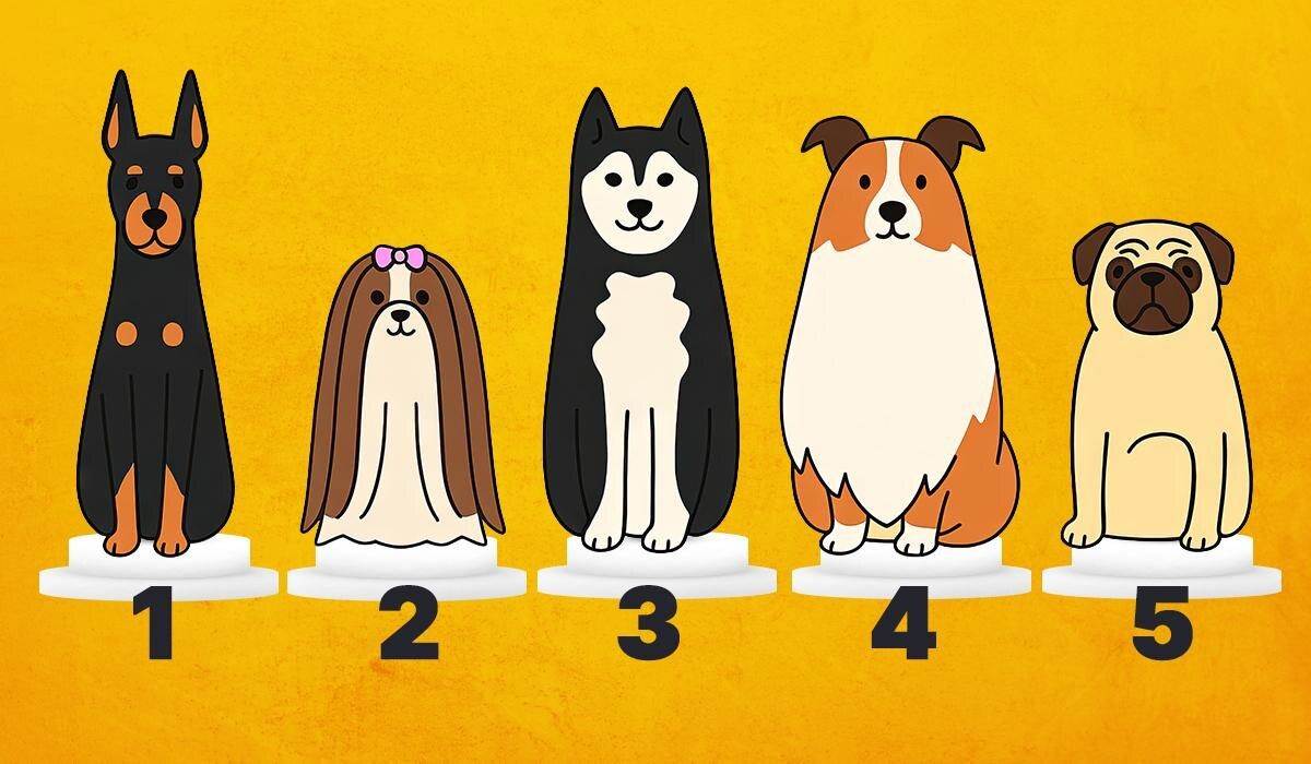  Test ličnosti u kakvom ste mentalnom stanju 