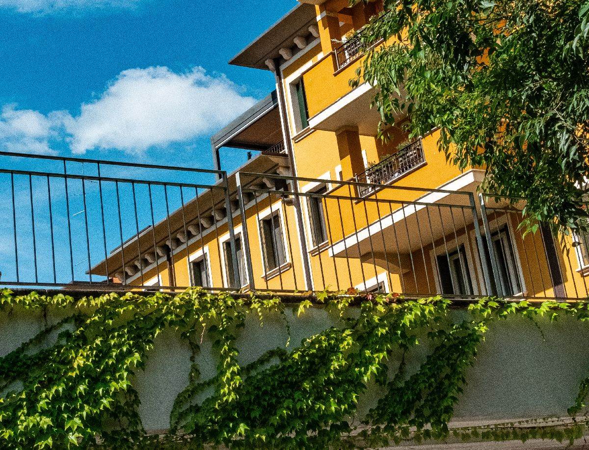  biljke koje mogu da vam unište kuću 