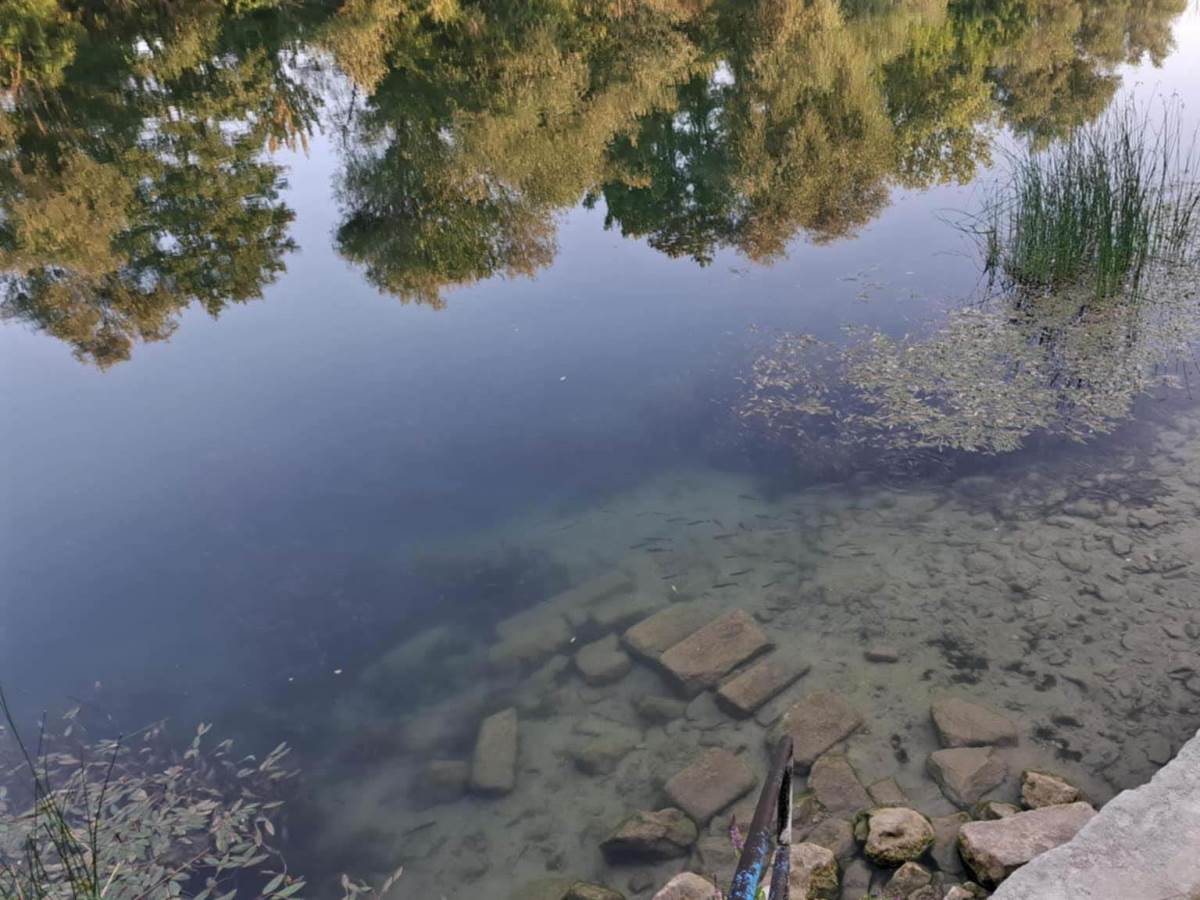  Agencija za vodno područje Save anallize une 