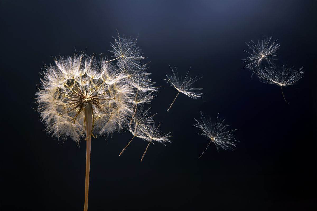  Test ličnosti koliko ste ranjivi 