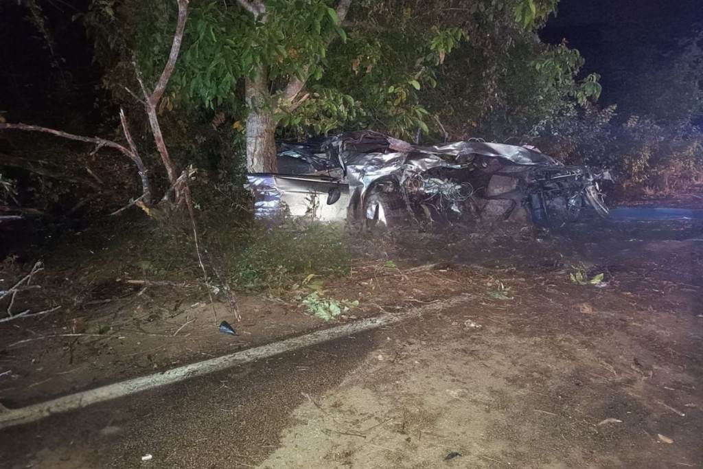  Automobilom sletio sa puta i udario u drvo, poginula 14-godišnja djevojka 