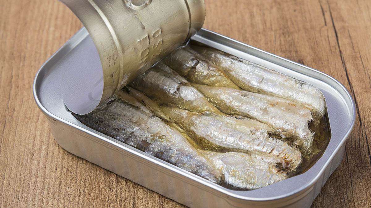  šta sadrži konzerva sardina 