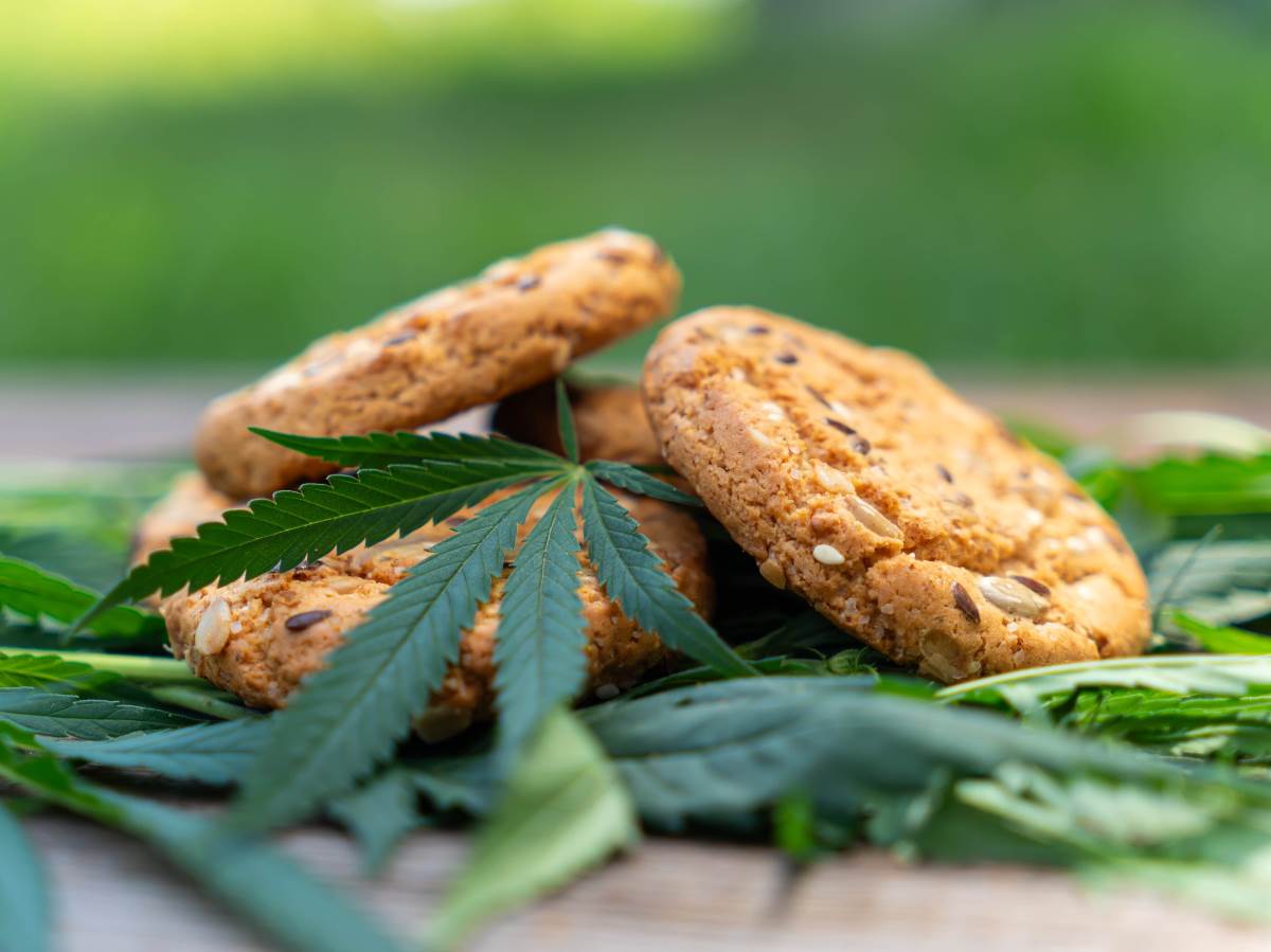  Državljaninu BiH na granici s Hrvatskom oduzeti keksi s THC-om 