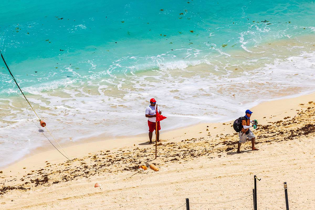  Zatvorena plaža u Španiji zbog najezde morskih stvorenja 