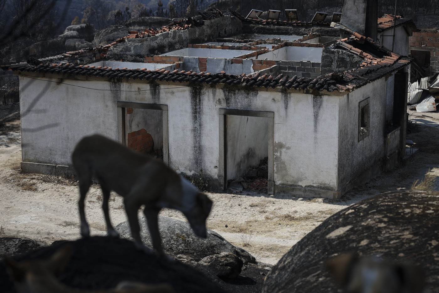  požar u portugalu zahvatio vatrogasno vozilo 