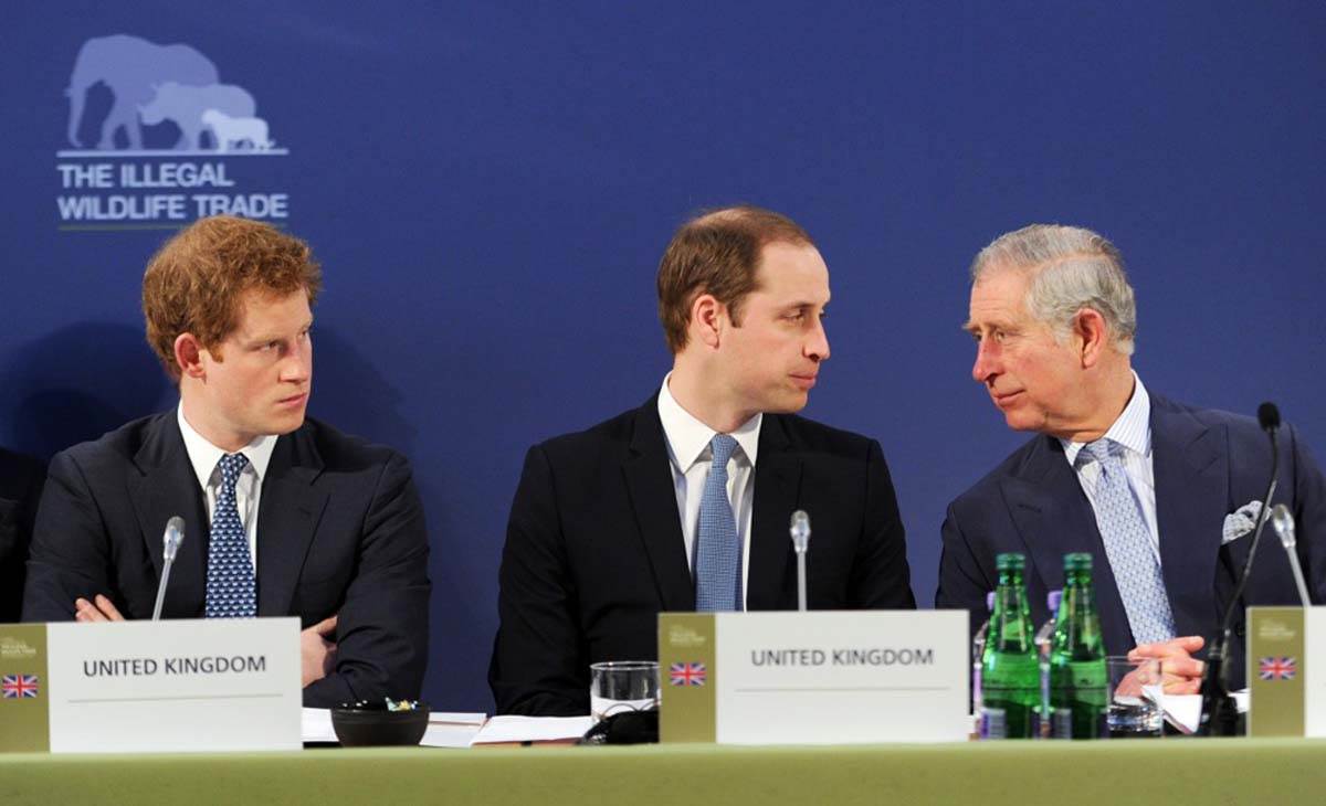  Sastali se kralj Čarls i princ Hari 