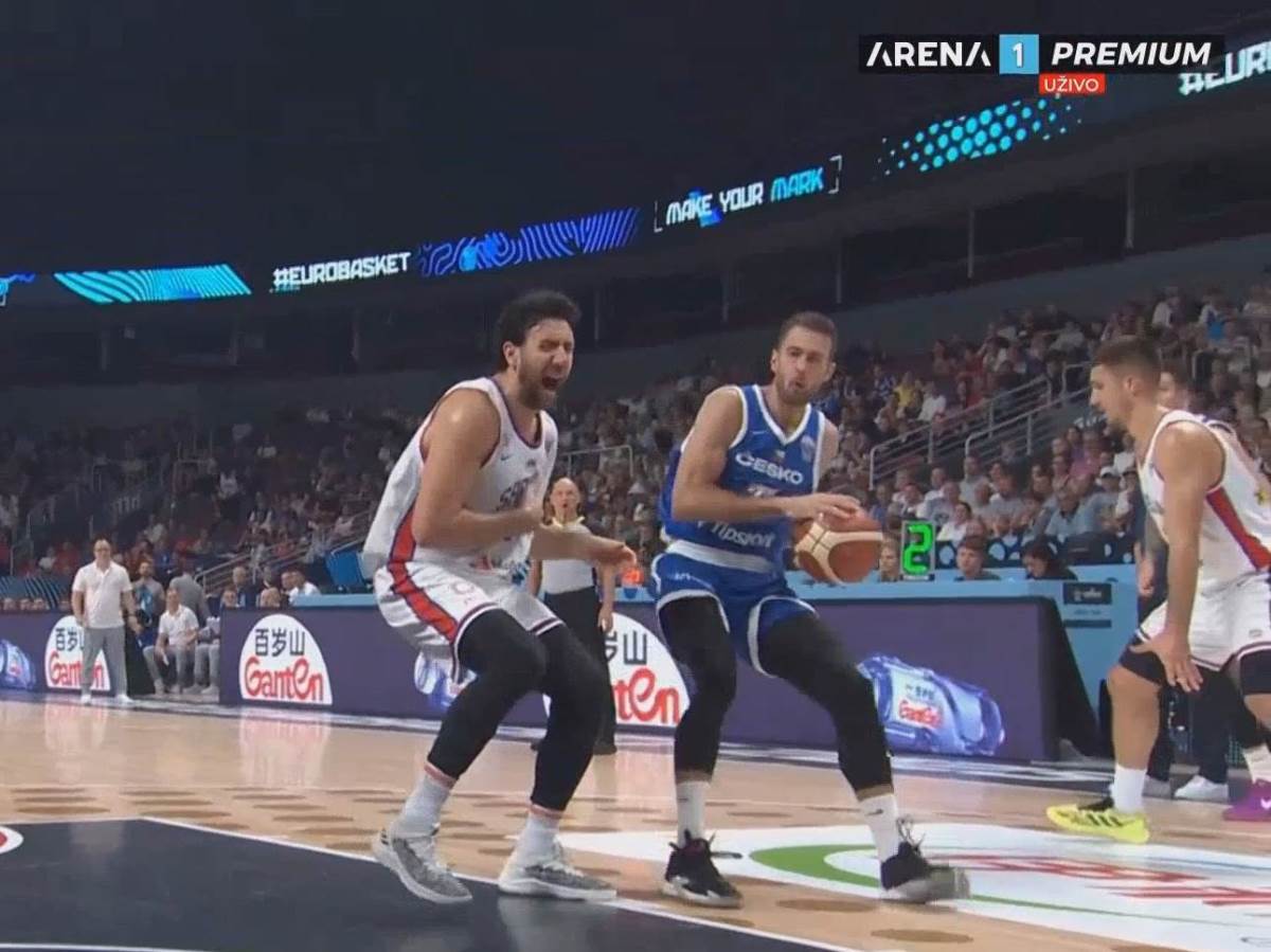  Vasa Micić dobio udarac na meču sa Češkom 