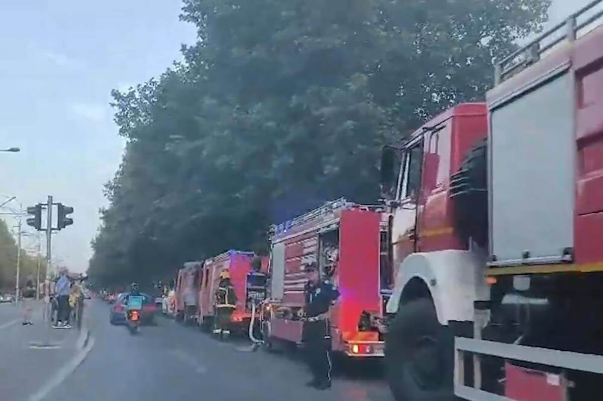  Požar u Sremčici uzrok 