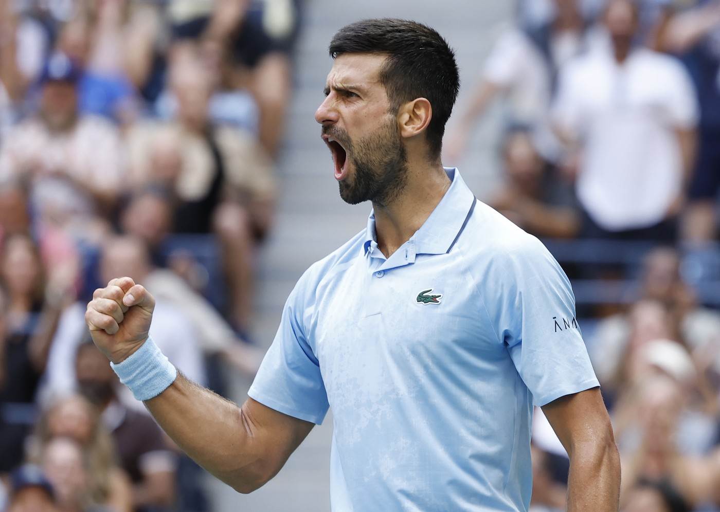  Sem Kveri o Novaku Đokoviću 