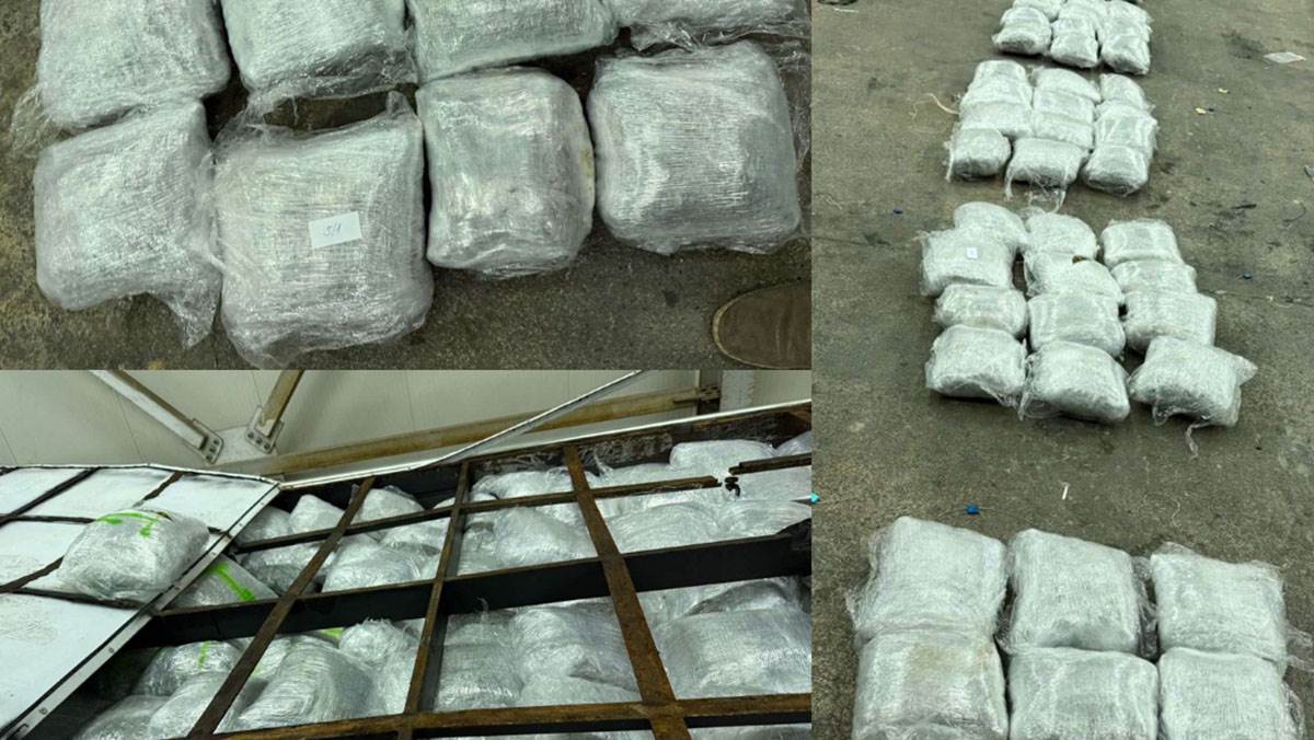  Kod državljanina BiH pronađeno više od 130 kilograma marihuane 