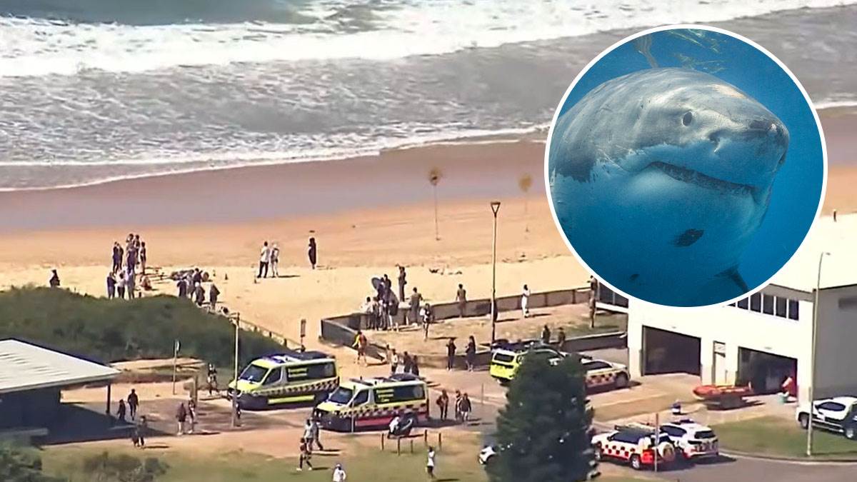  Muškarca u Sidneju usmrtila ajkula 