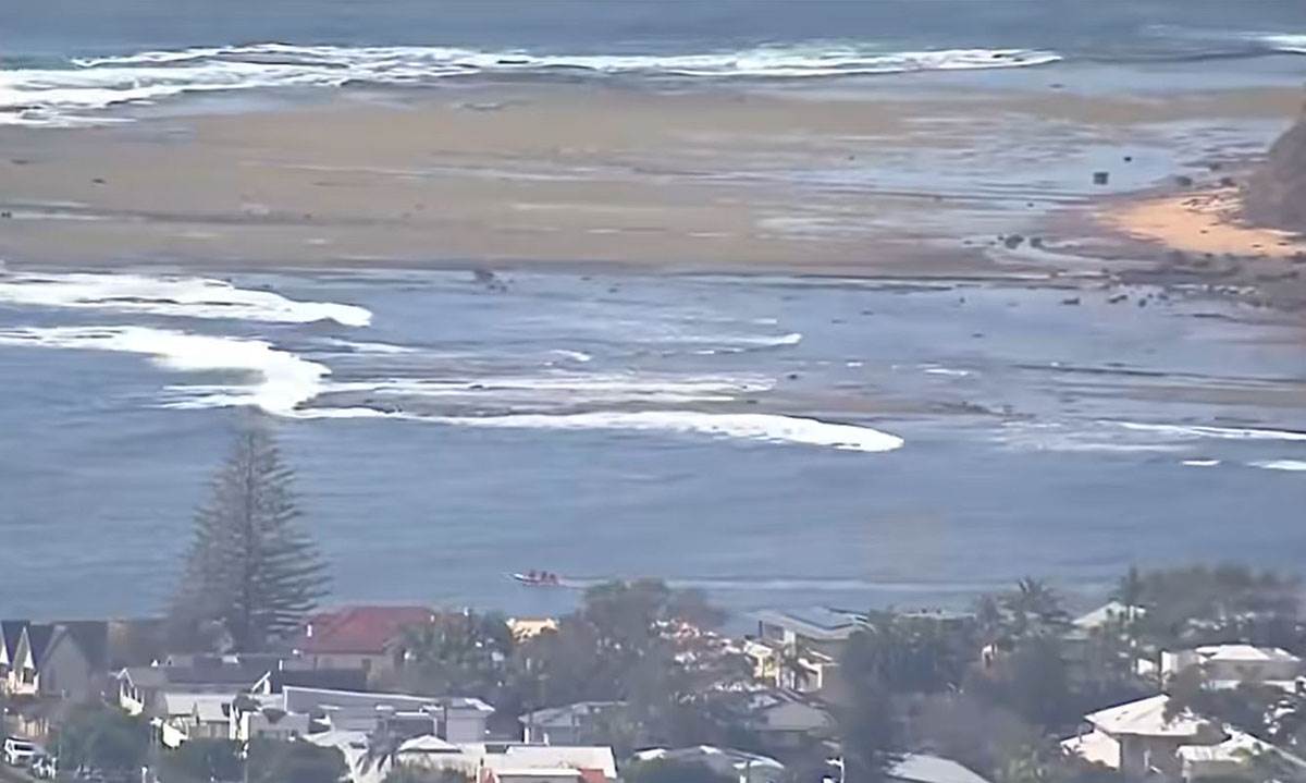  U Australiji pronađeni ostaci praistorijskog morskog psa 