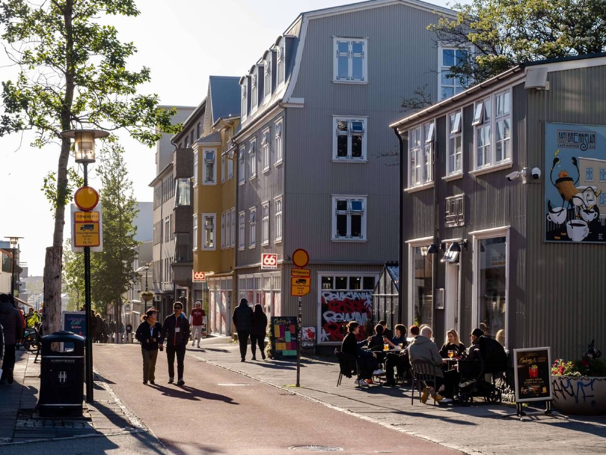  Na Islandu nema komaraca 