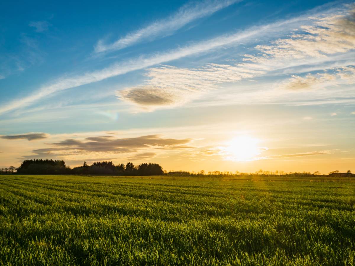  Danska je jedina evropska zemlja bez planina 