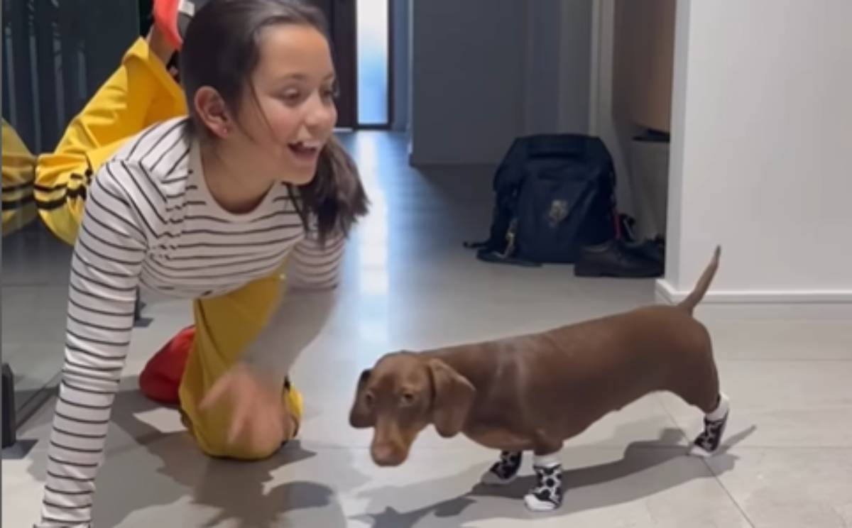  Pas vježbao sa djevojčicom 