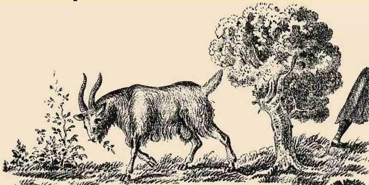  Test da li vidite čovjeka na slici 