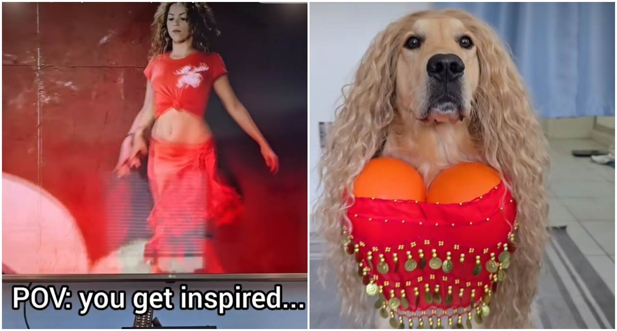  Pas maskiran u Šakiru 