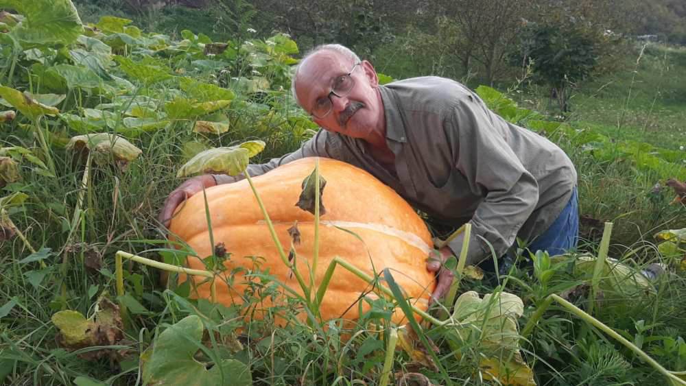  Mile Višnjić iz Foče uzgaja bundeve teške i do 70 kg 