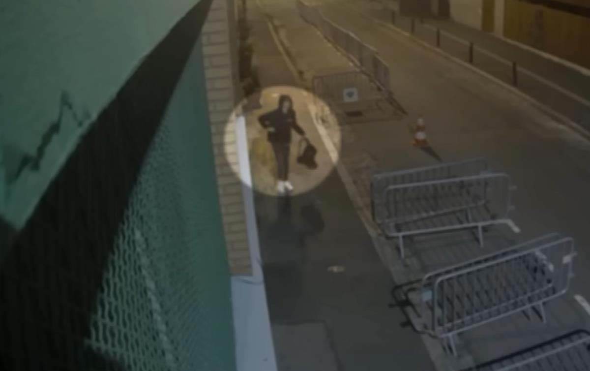  Srbin ostavljao svinjske glave ispred džamija u Parizu 