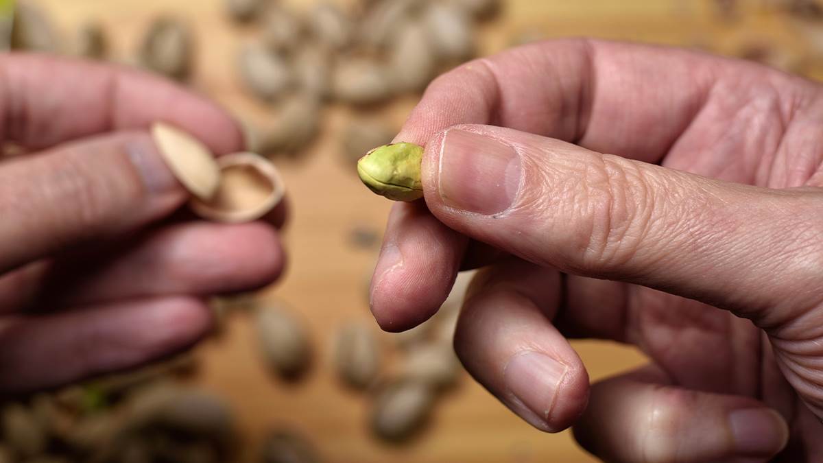  Pistaći užina za visok krvni pritisak 