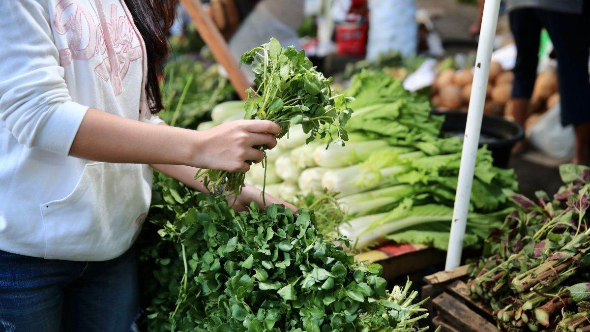  Potočarka dobra za zdravlje 