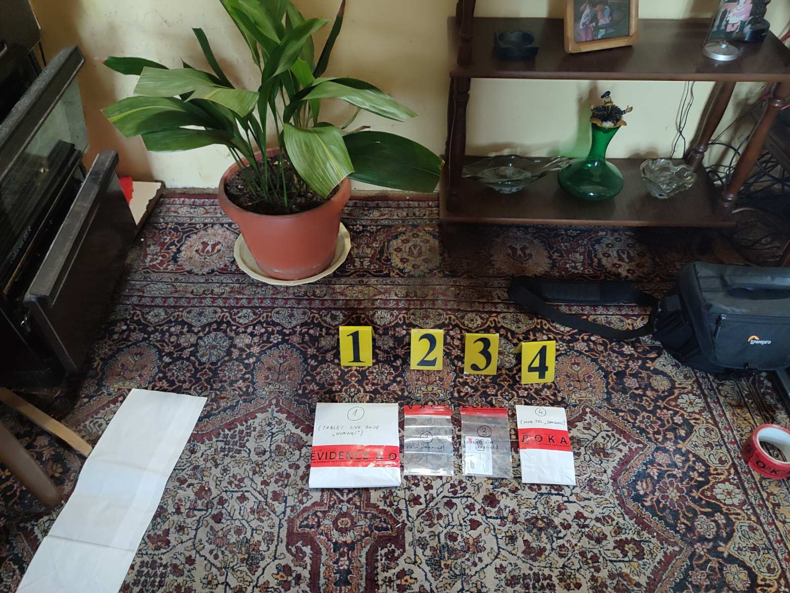  Hapšenje zbog dječije pornografije 