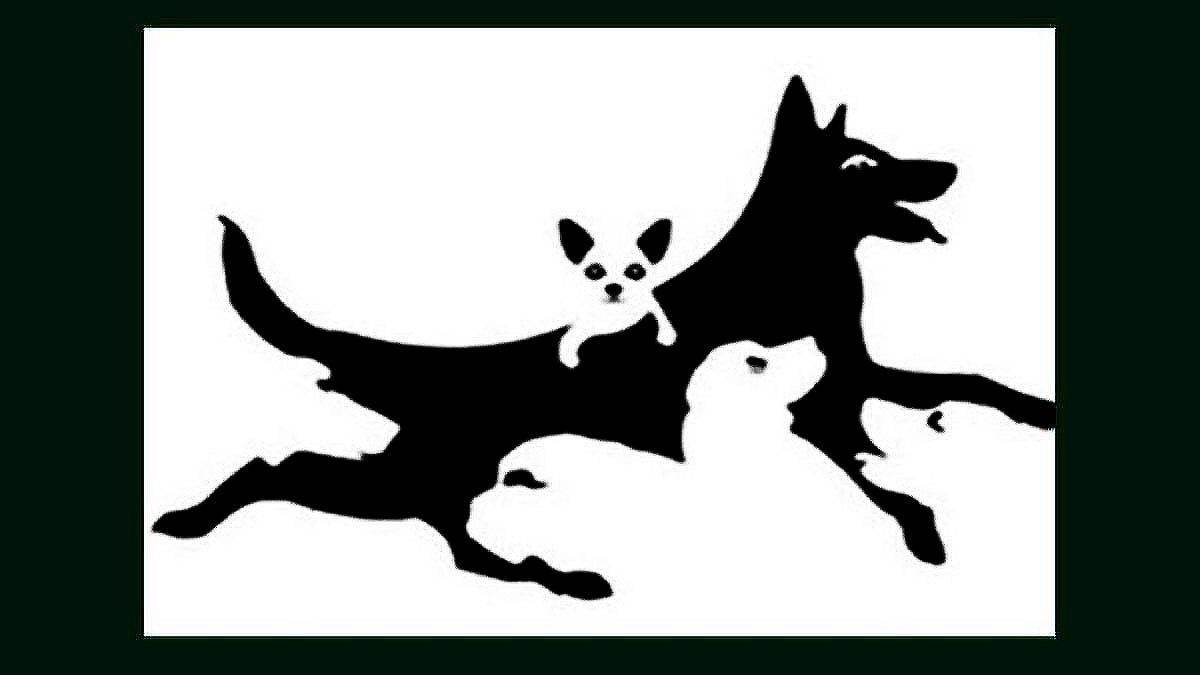  koliko pasa vidite na slici iluzija test 