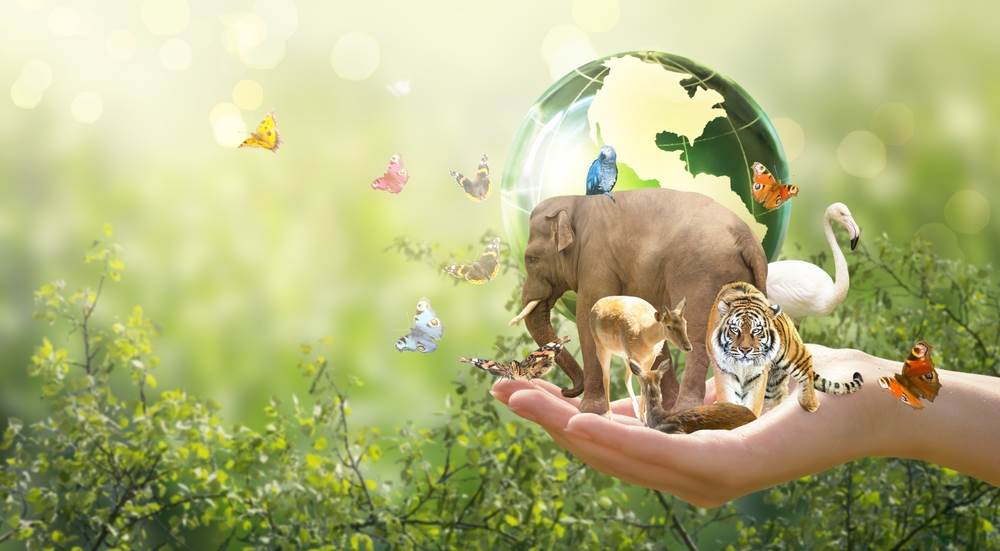  Svjetski dan životinja 