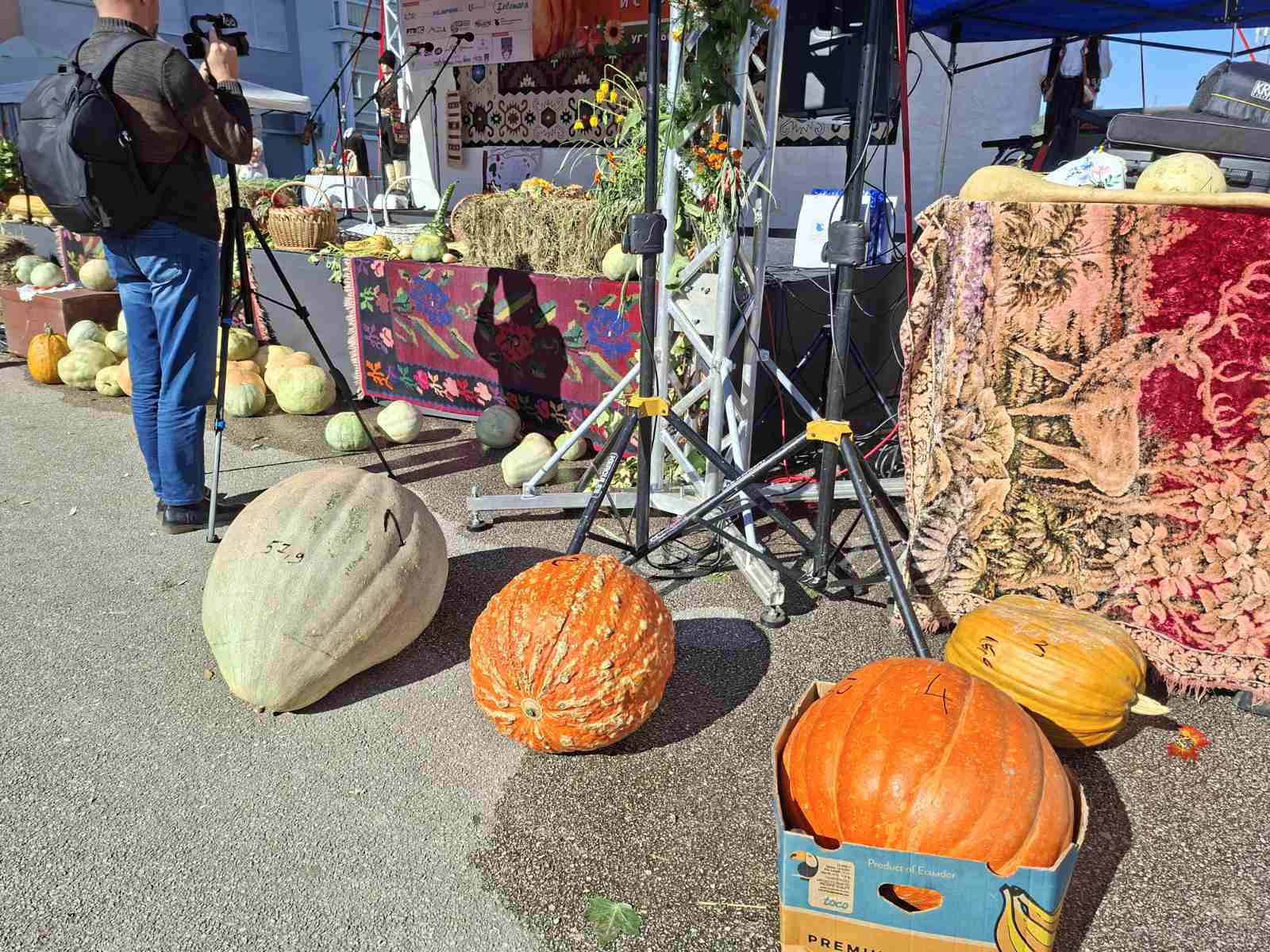  "Dani tikve": Pobjednička bundeva teška 57,9 kilograma 
