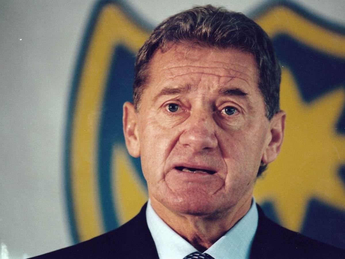  Milan Mandarić karijera 